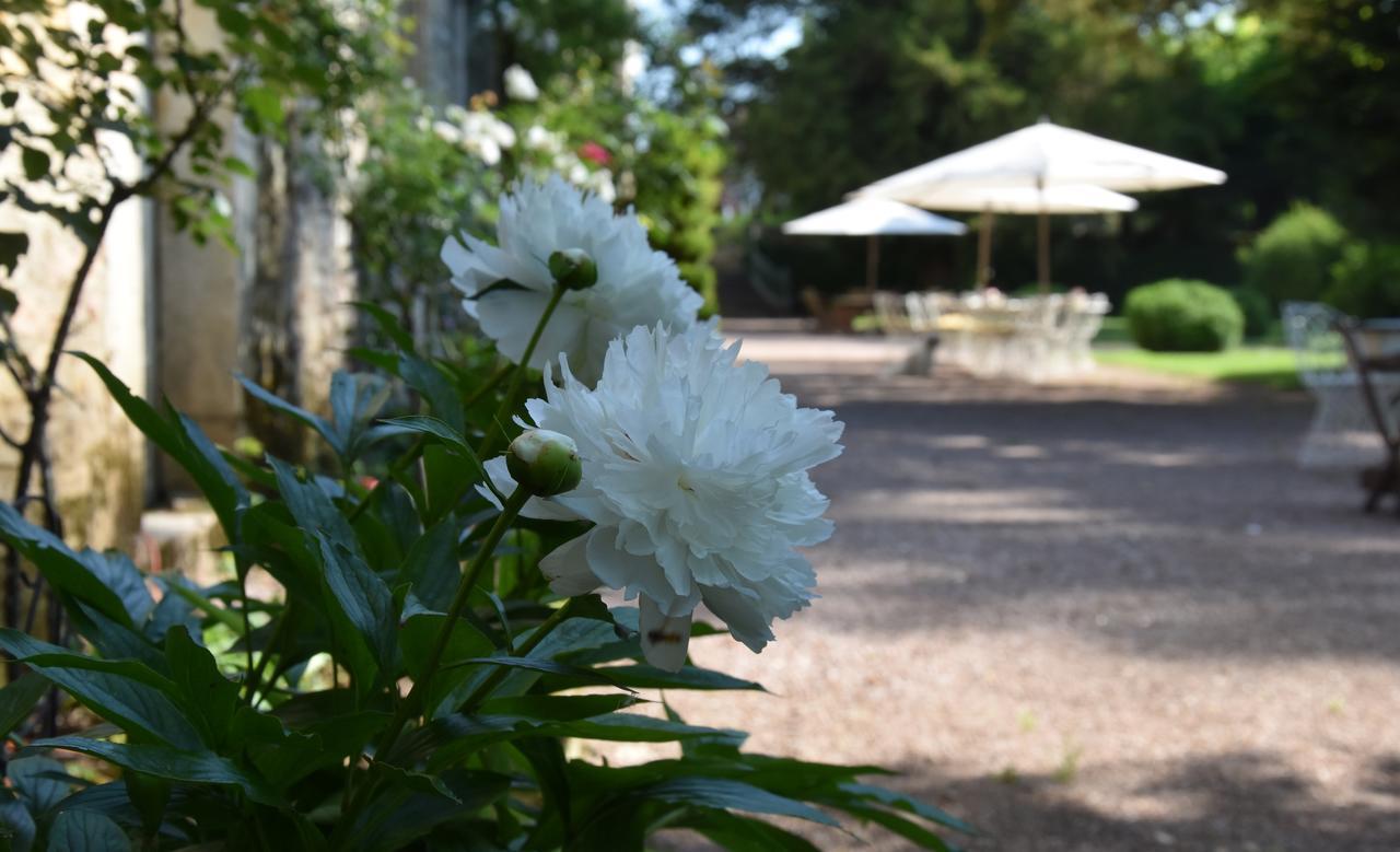 Cote Park Bed & Breakfast Givry  Exterior photo